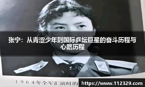 完美体育